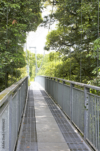             Suspension bridge