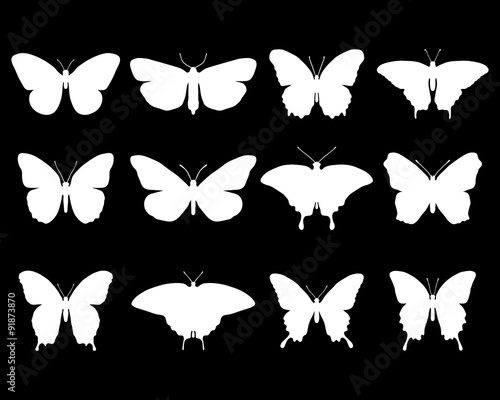 White silhouettes of butterflies, vector