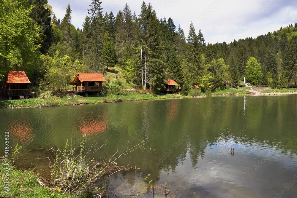 Fall forest and lake in the Carpathian Mountains