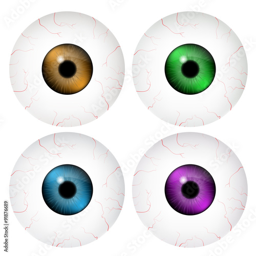 Image of realistic human eye ball with colorful pupil, iris. Vector illustration isolated on white background.