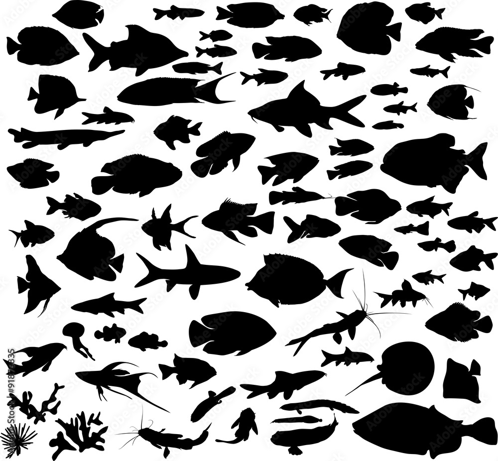 Fototapeta premium Set of fishes silhouettes