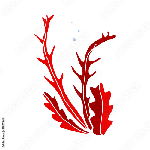 cartoon seaweed