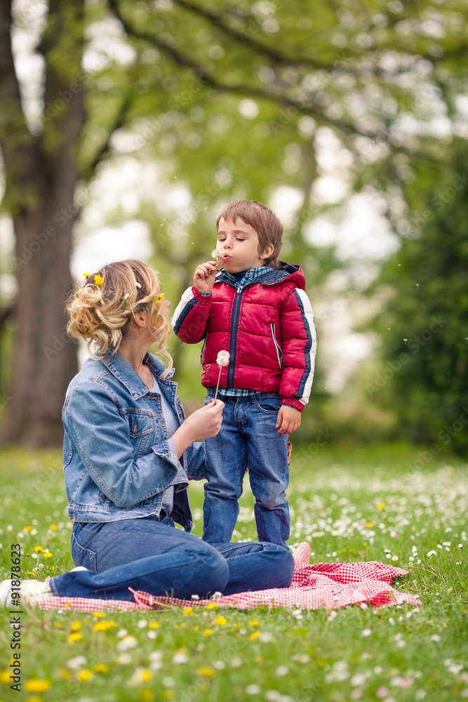 Fototapeta premium Cute little boy blowing dandelion while having a picnic in a park with his mother