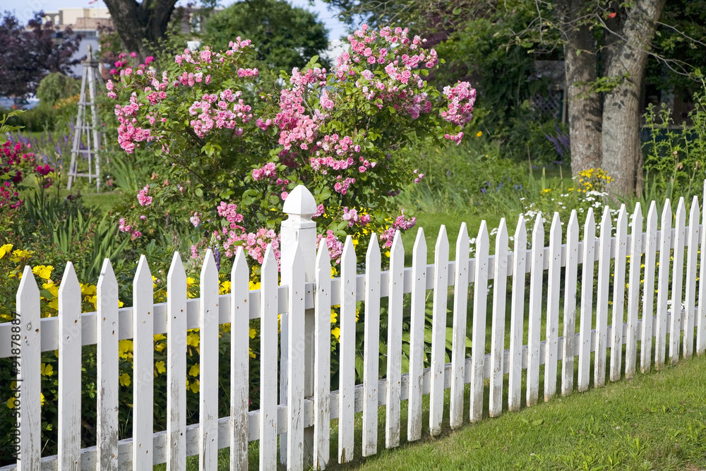 Garden Picket Fence Garden Picket Fence