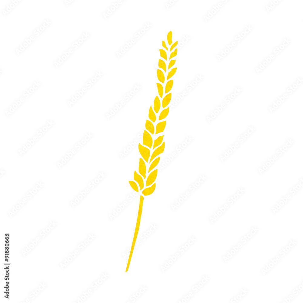 cartoon corn cartoon corn