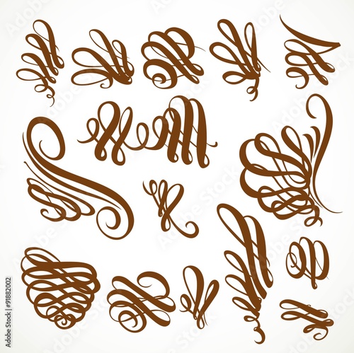 Calligraphic vintage rounded curls elements set isolated on a wh