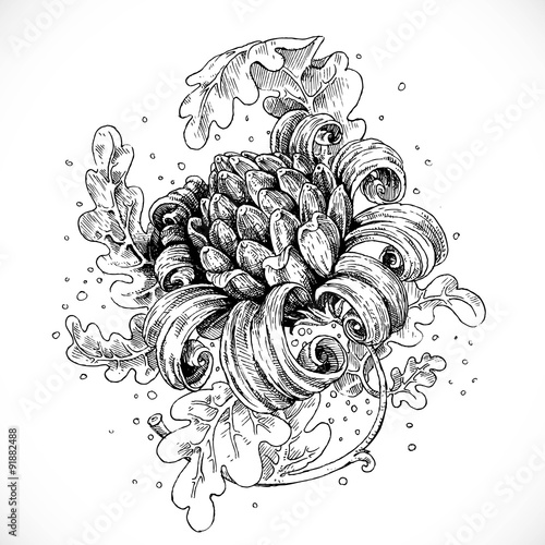 Black and white drawing fantasy flower and leaves
