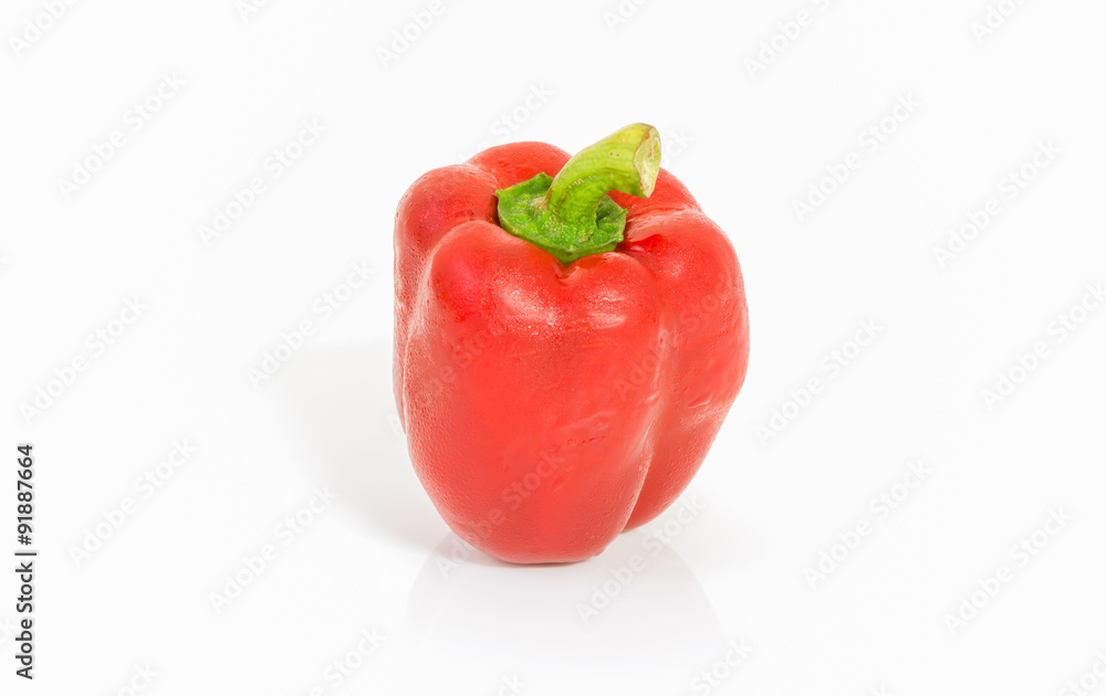 Red sweet peeper isolated Red sweet peeper isolated