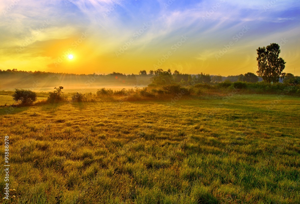 Fototapeta premium Sunset at summer fields