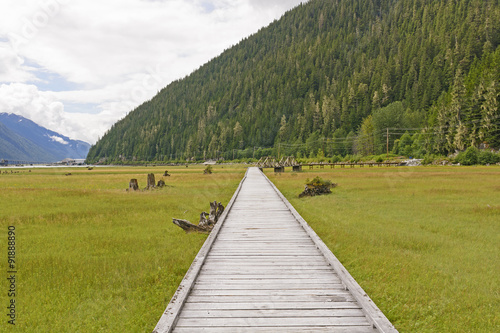 Boardwalk Through a Coastal Estuary photo