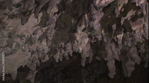 Pan detail of Carter Cave stalactites