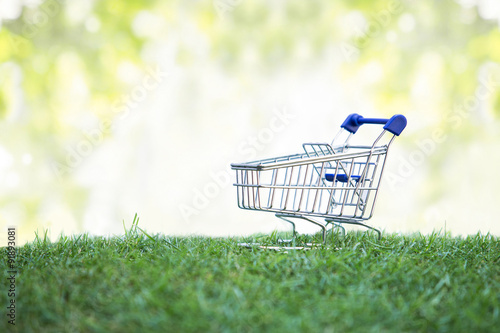 Trolley on green grass, Green Shopping concept photo
