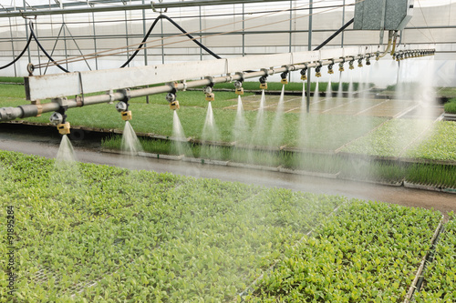 irrigation photo