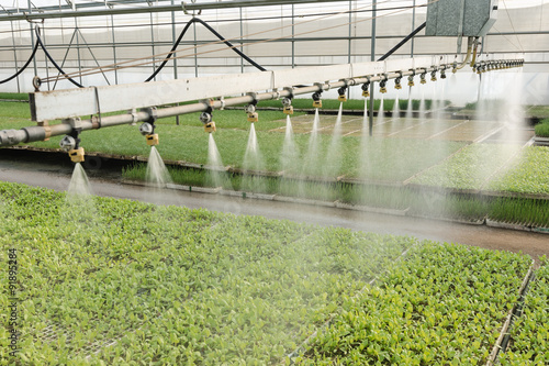 irrigation