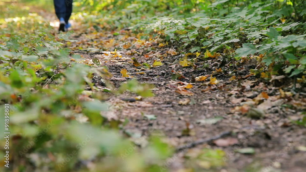 attractive woman running along path in park
attractive woman running along path in park