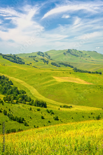 Beautiful Summer Landscape: Green Hills Covered by Trees and Blue Sky with White Clouds