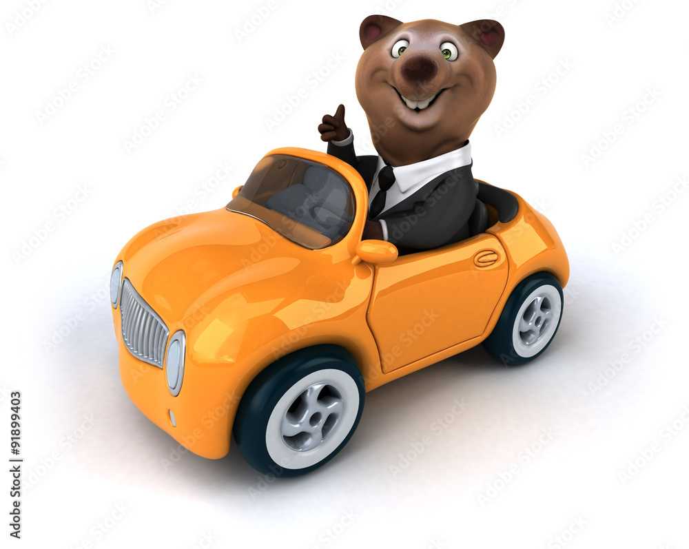 Fun bear Fun bear