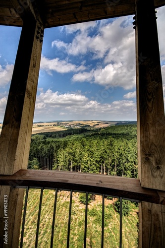 View from wooden outlook tower