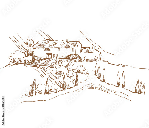 Summer landscape.
