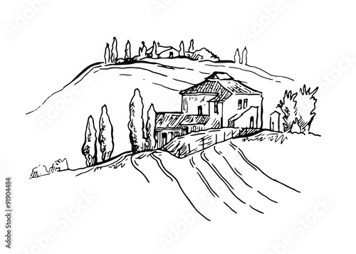 Summer landscape.