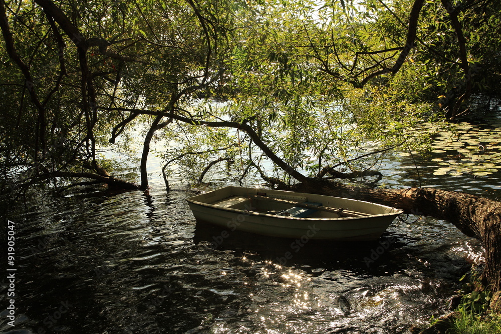 Obraz premium Boat in the tree shadow