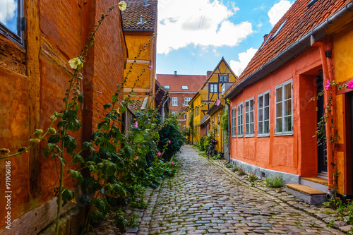 Schilderij op canvas Charming Historic Alley in Elsinore Denmark near Kronborg Castle