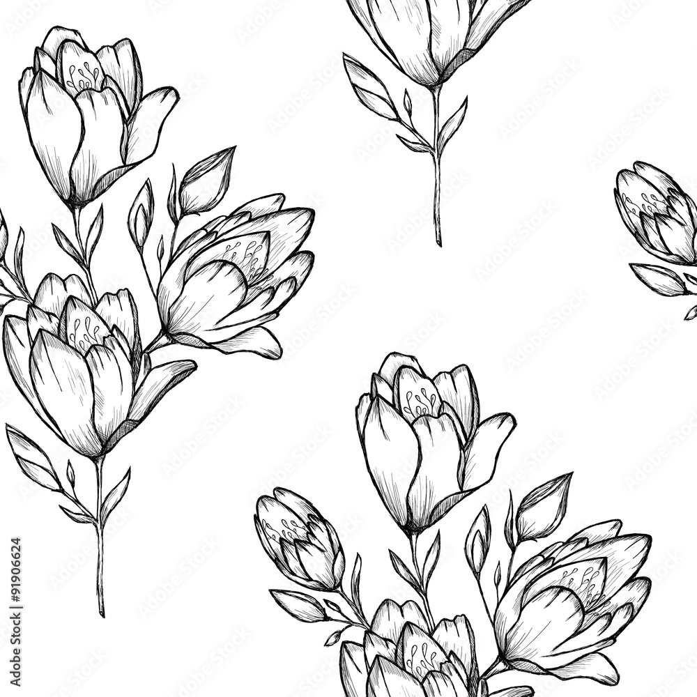 Fototapeta Sketch of flowers by hand on an isolated background