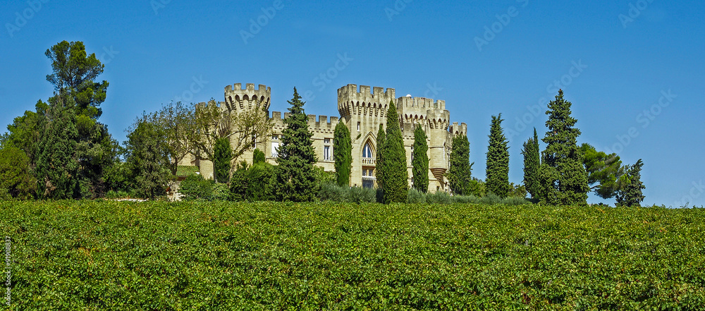 Château dans vignoble