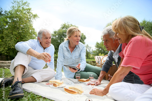 Group of senior people enjoying picnic on sunny day