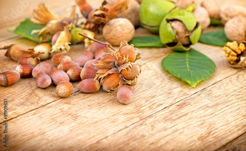 Hazelnut and walnut