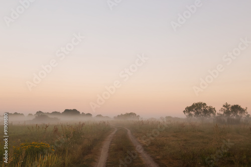 travel along the fog on the morning meadow © makam1969