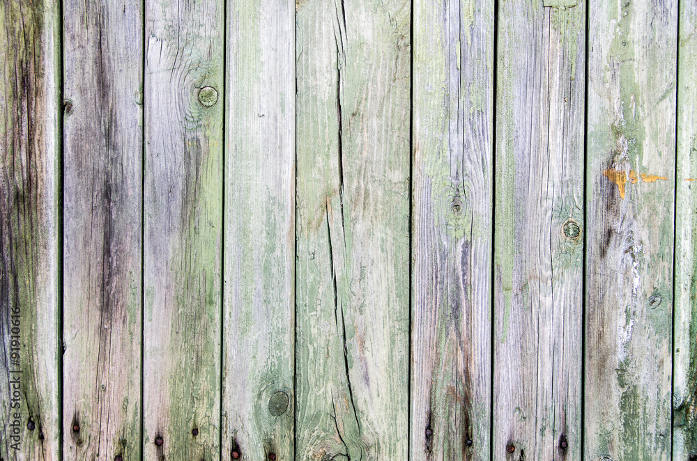 Fototapeta premium Wood texture background