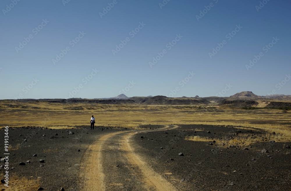 Deserto namibiano