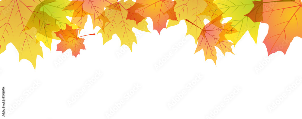 maple leaves frame maple leaves frame