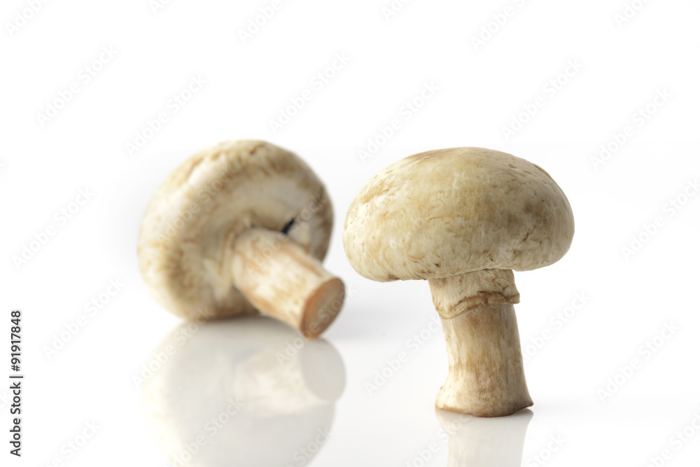 Two Common Button Mushrooms on White Background Shot in Studio. Two Common Button Mushrooms on White Background Shot in Studio.
