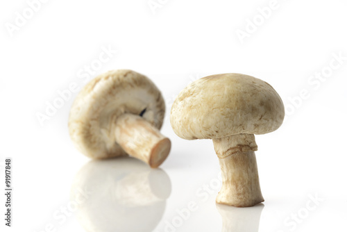 Two Common Button Mushrooms on White Background Shot in Studio.