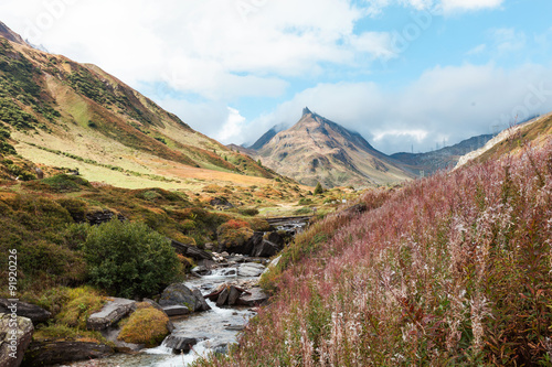 Swiss Alpine Landscape, stream and mountains