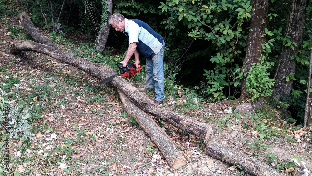 Naklejka premium Old woodman