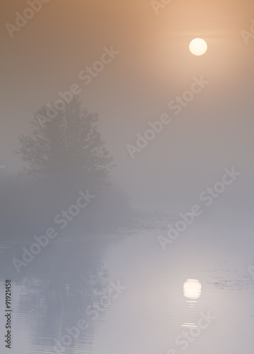 A beautiful foggy sunrise photo