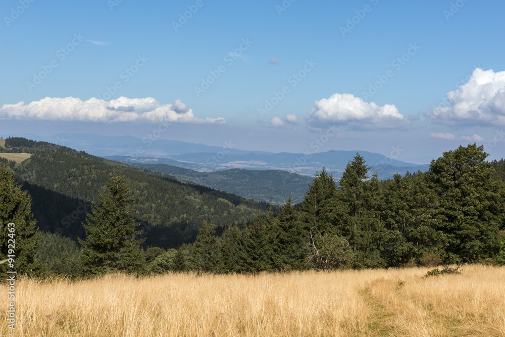 Summer Polish landscape in Sudety mountains