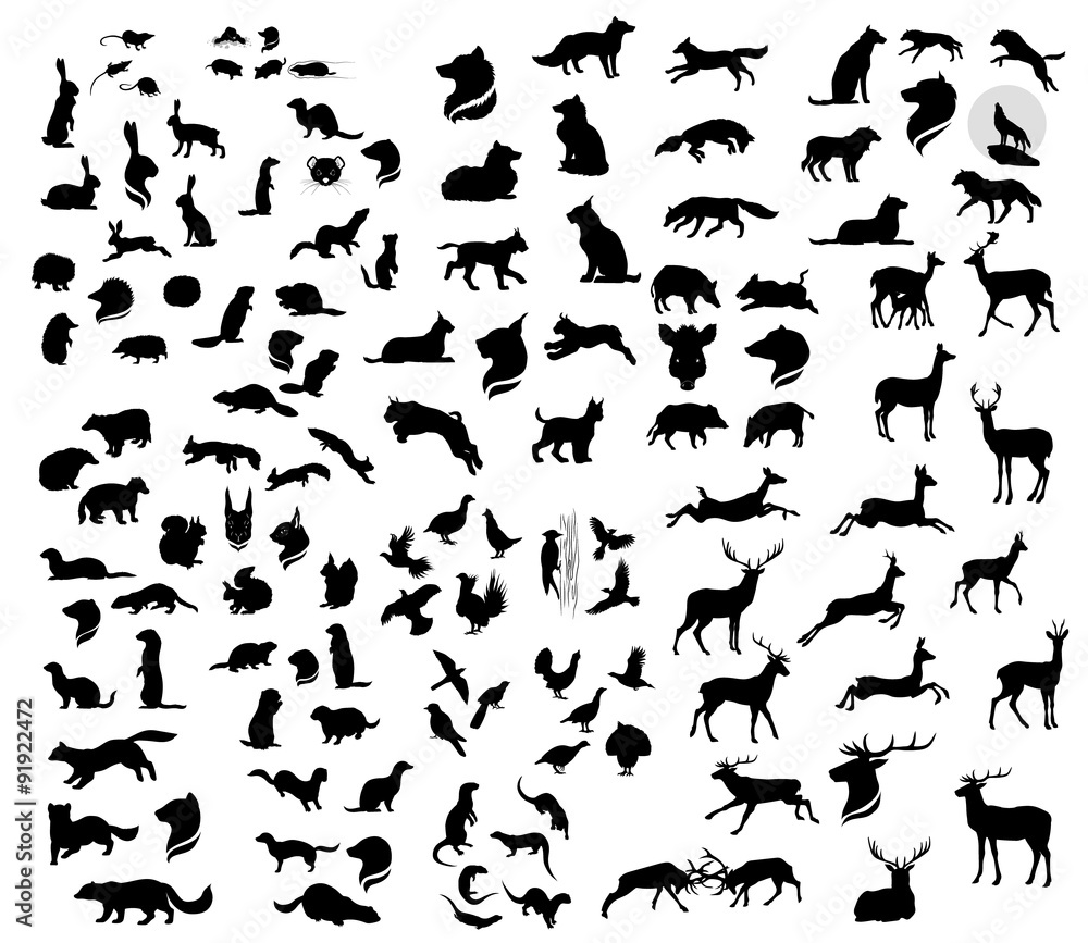 The big set of forest vector animals silhouettes. The big set of forest vector animals silhouettes.
