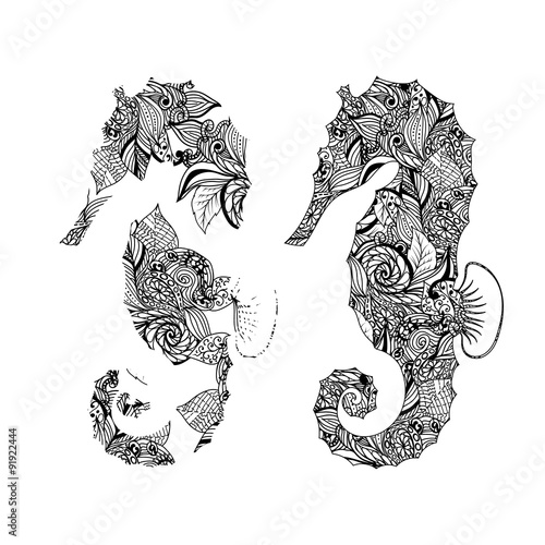 Seahorse graphic patterns. Abstract illustrations.