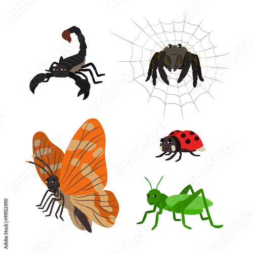 Cartoon set: scorpion spider butterfly ladybug grasshopper