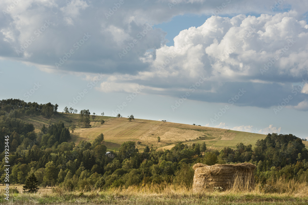 Summer Polish landscape in Sudety mountains