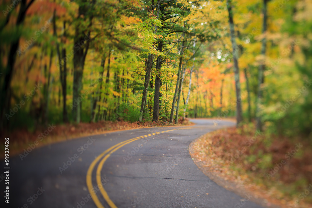 Obraz premium Road with Curve Through Autumn Forest in Wisconsin