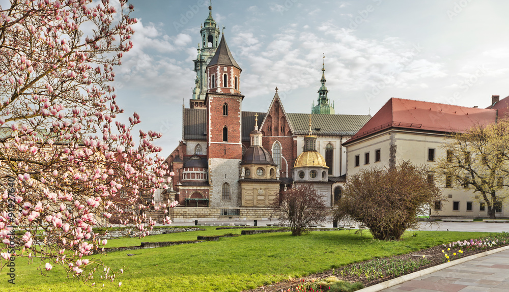 Obraz Krakow - Wawel castle at spring