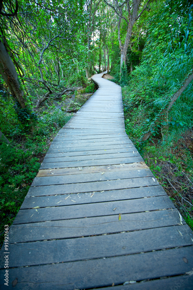 Forest path wooden deck