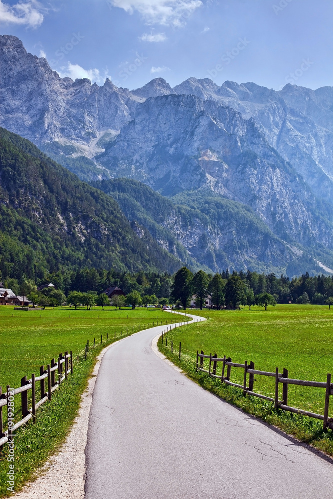 Pasture in Slovenian Alps and a road