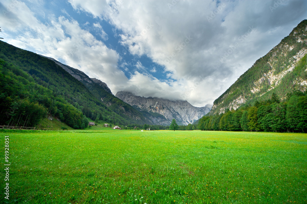 Pasture in Slovenian Alps