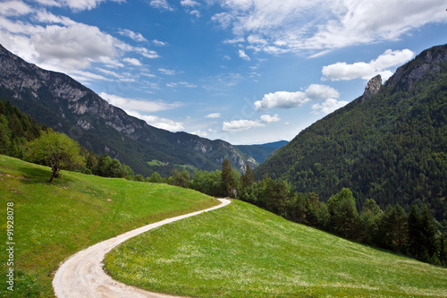 Pasture in Slovenian Alps and a dusty road